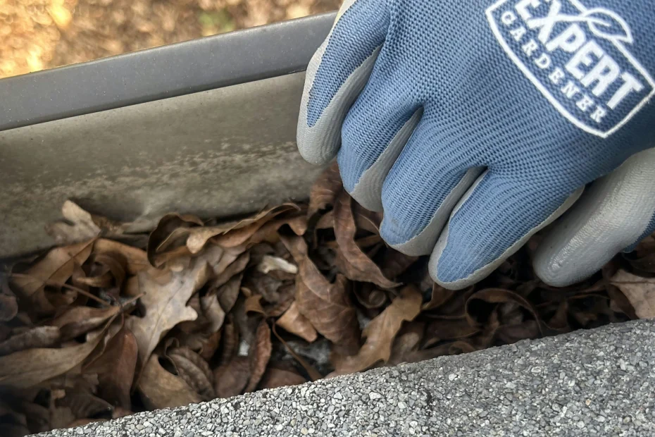 Gutter Cleaning Kennesaw