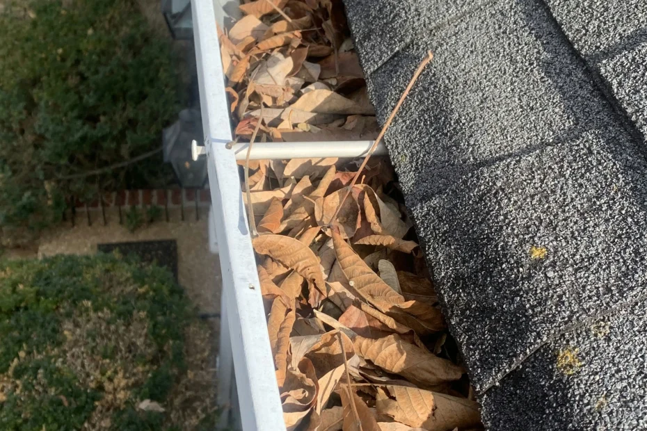 Gutter Cleaning Kennesaw